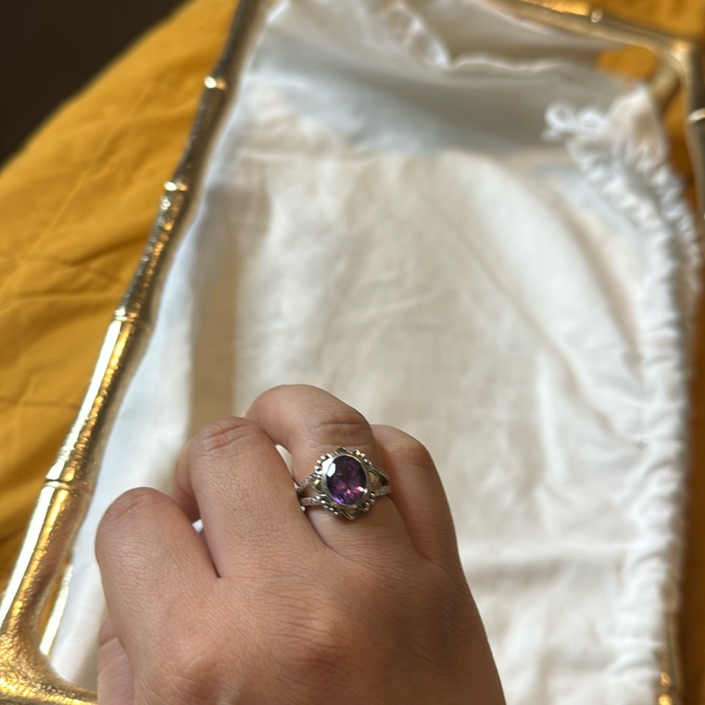 Robert Manse Ring